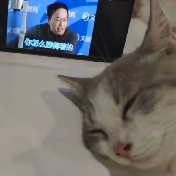 头像